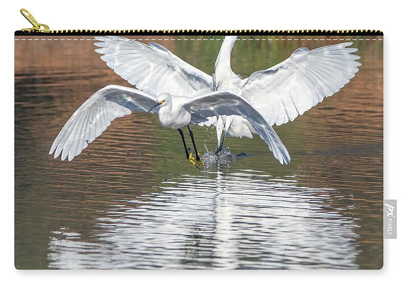 Snowy Zip Pouch featuring the photograph Snowy Egret Chase 9942-022418-1cr #1 by Tam Ryan