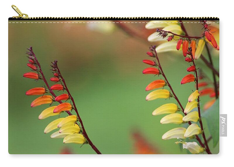 Flower Zip Pouch featuring the photograph Spanish Flag #1 by Living Color Photography Lorraine Lynch