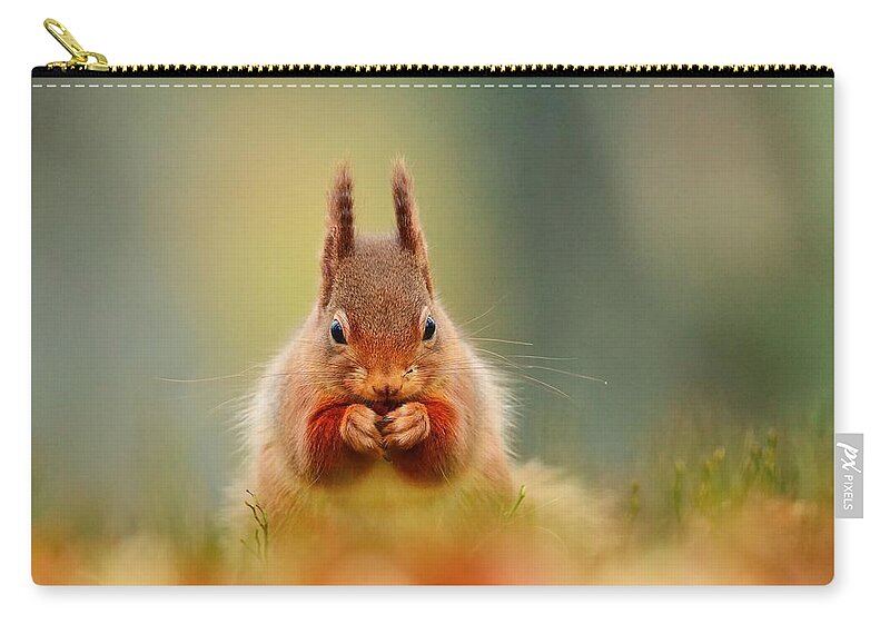 Squirrel Zip Pouch featuring the photograph Squirrel #1 by Mariel Mcmeeking
