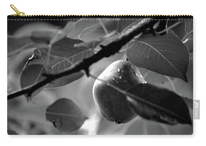 Pear Zip Pouch featuring the photograph Study of A Pear #2 by Lesa Fine
