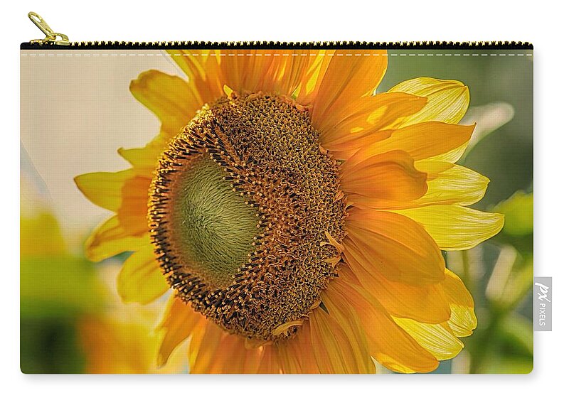 Summer Morning Zip Pouch featuring the photograph Summer morning #1 by Lynn Hopwood