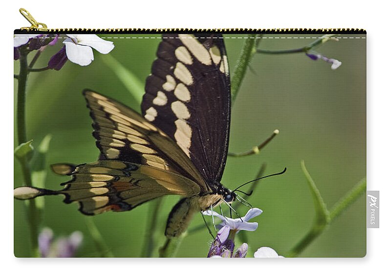 Giant Swallowtail Zip Pouch featuring the photograph SuMmEr.. #2 by Nina Stavlund
