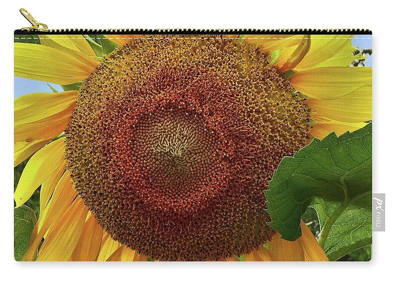 Floral Zip Pouch featuring the photograph Sunflower #1 by Mikki Cucuzzo