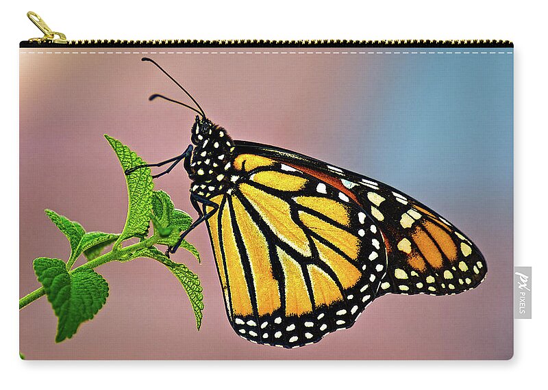 Insect Zip Pouch featuring the photograph Taking A Break #1 by Christopher Holmes