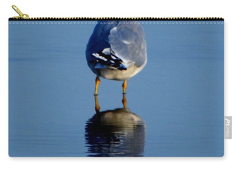 Bird Zip Pouch featuring the photograph Tan Lines by Dani McEvoy