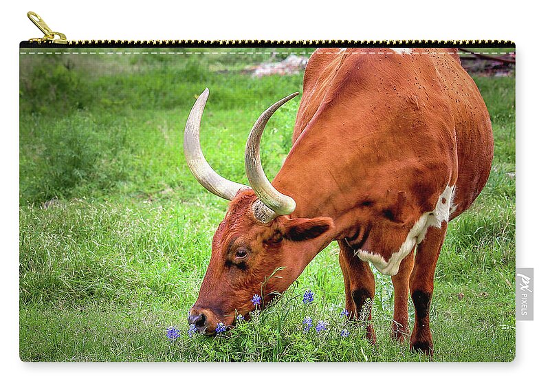 Texas Longhorns Zip Pouch featuring the photograph Texas Longhorn Grazing #1 by Robert Bellomy