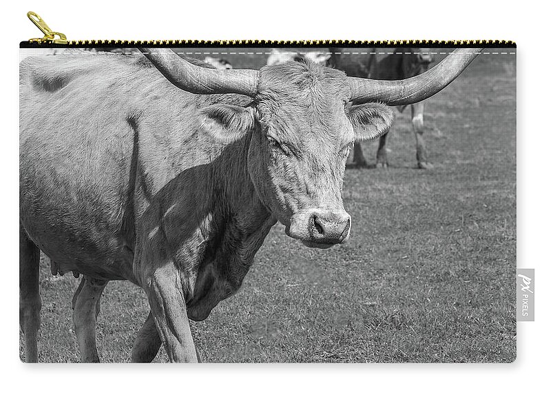 Texas Longhorns Zip Pouch featuring the photograph Texas Longhorns #1 by Robert Bellomy