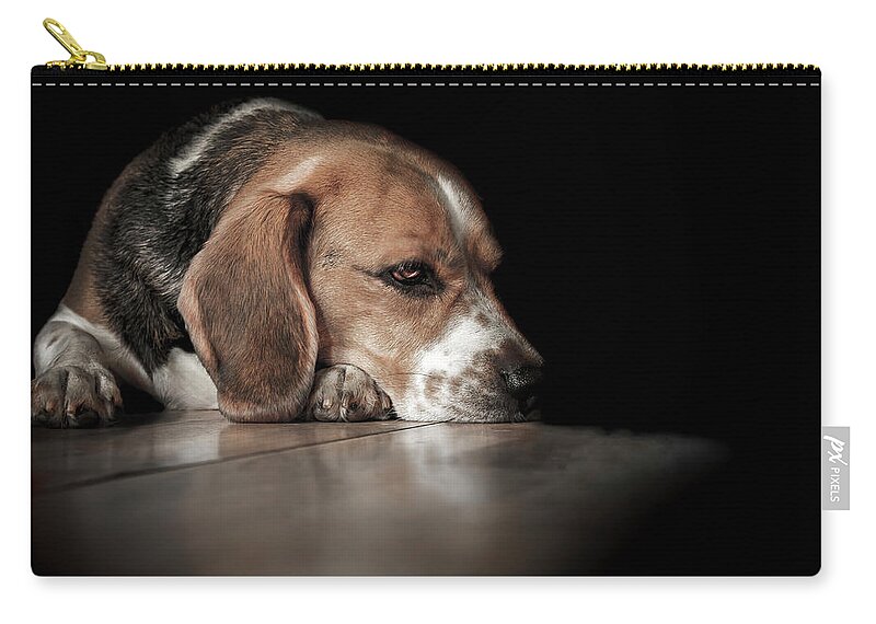 Beagle Zip Pouch featuring the photograph The Day Dreamer #1 by Paul Neville