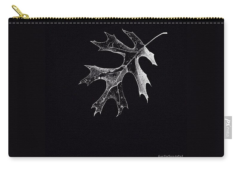 Bnw_zone Zip Pouch featuring the photograph The First Day Of #winter And It Is #1 by Austin Tuxedo Cat