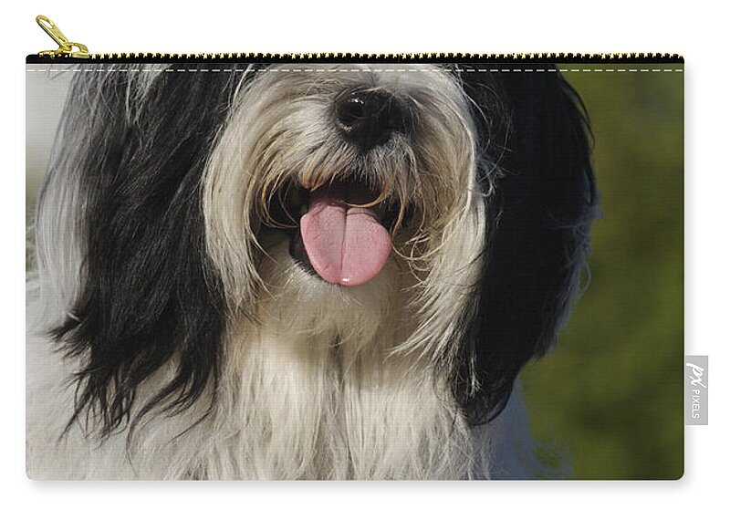 Dog Zip Pouch featuring the photograph Tibetan Terrier #1 by Brinkmann/Okapia