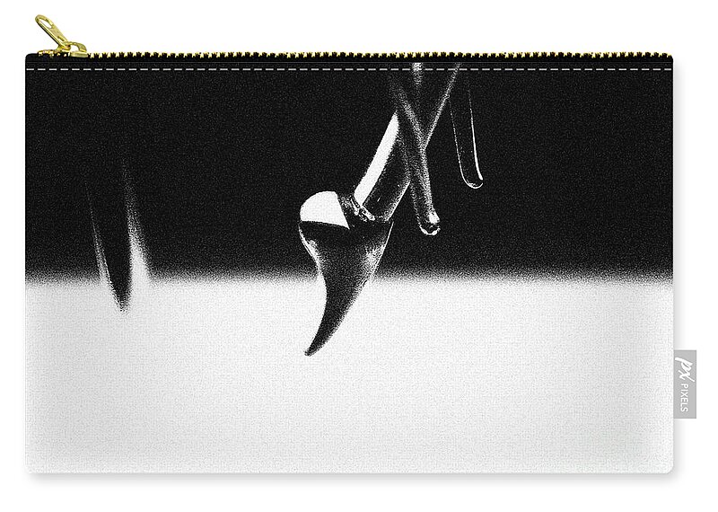 Black And White Zip Pouch featuring the photograph To The Point #1 by Eileen Gayle