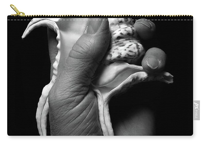Shell Zip Pouch featuring the photograph Touch Series - shells #1 by Nicholas Burningham