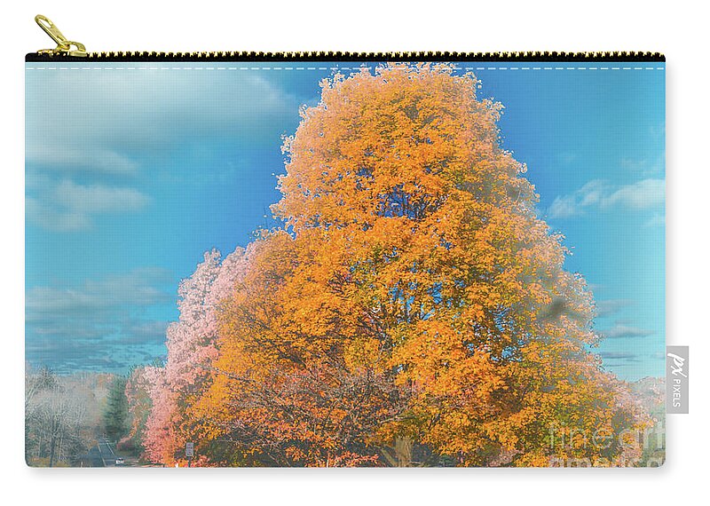 Tree Zip Pouch featuring the photograph Tree Line #1 by William Norton