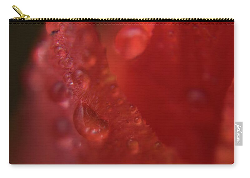 Tulip Zip Pouch featuring the photograph Tulip Petal raindrops-1844 #2 by Steve Somerville