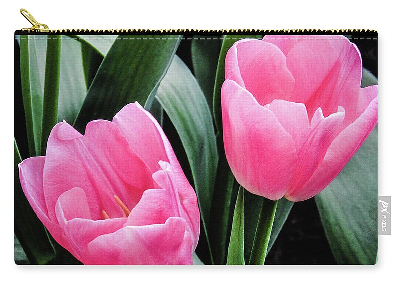 Tulips Zip Pouch featuring the photograph Tulips #1 by Cesar Vieira