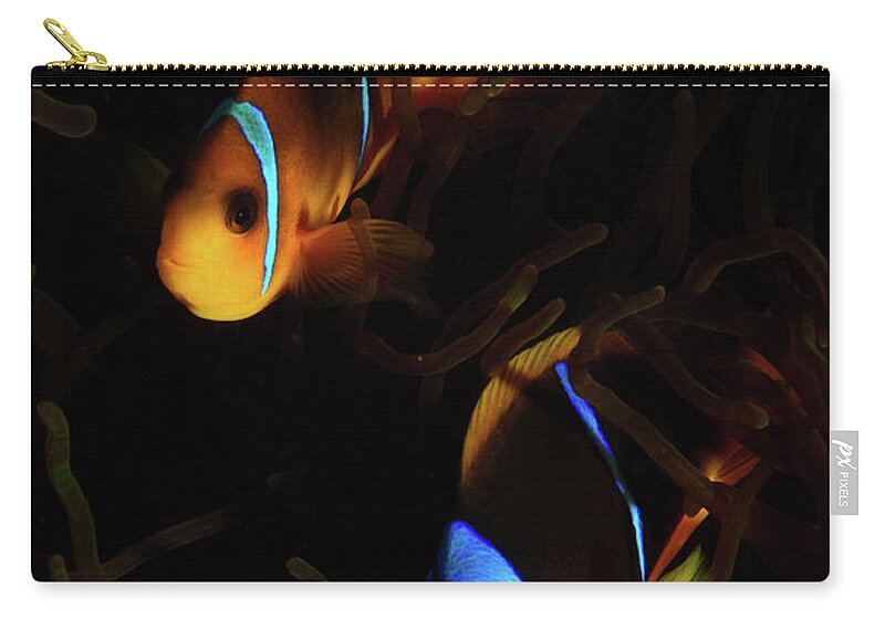 Underwater Zip Pouch featuring the photograph Underwater photography #1 by Hagai Nativ