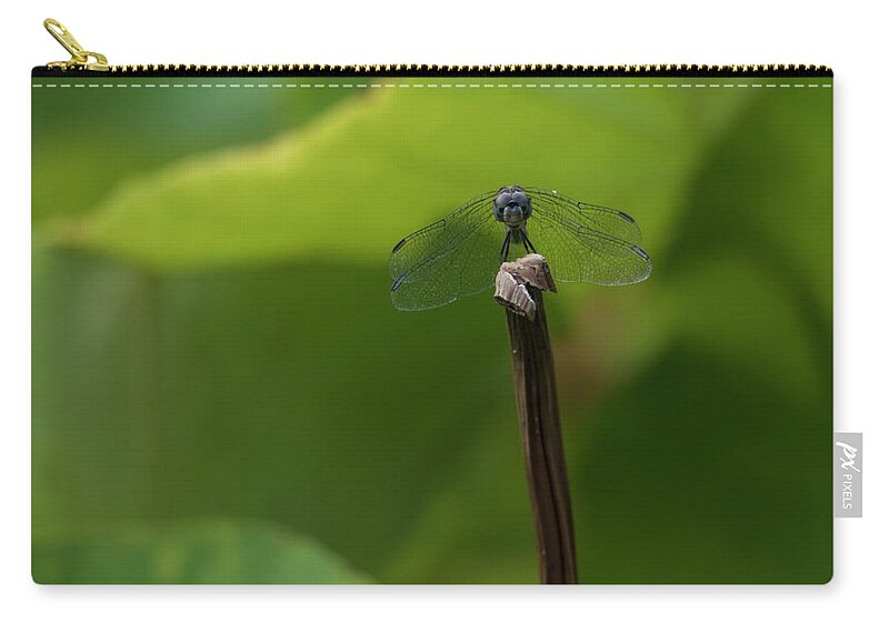 Dragonfly Carry-all Pouch featuring the photograph Vigilance by Holly Ross