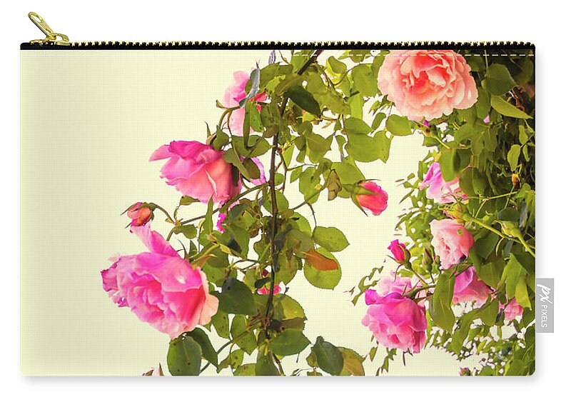Roses Zip Pouch featuring the photograph Vintage Roses #1 by Elaine Teague