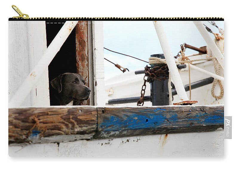 Dog Zip Pouch featuring the photograph Waiting on his best friend by Toni Hopper
