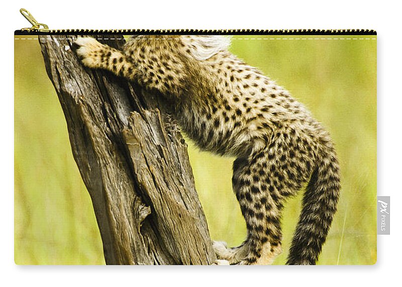 Africa Zip Pouch featuring the photograph What a Cutie by Michele Burgess
