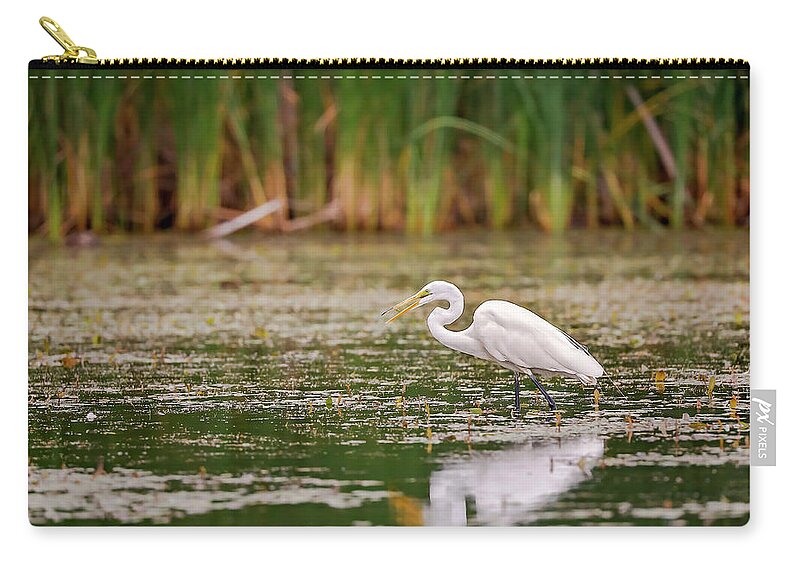 Animal Zip Pouch featuring the photograph White, Great Egret by Peter Lakomy