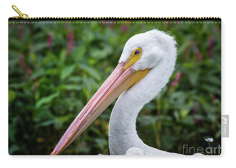 Animal Zip Pouch featuring the photograph White Pelican #1 by Robert Frederick