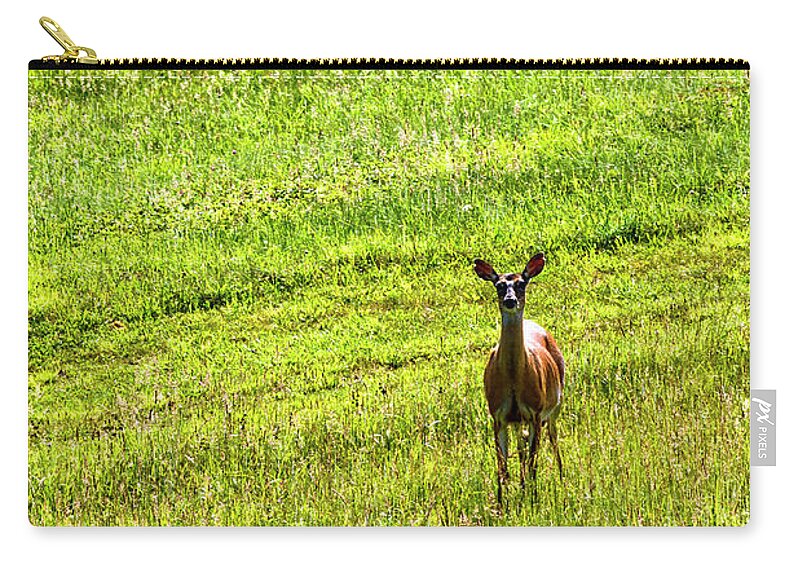 Whitetail Deer Zip Pouch featuring the photograph Whitetail Deer and Hay Rake #1 by Thomas R Fletcher