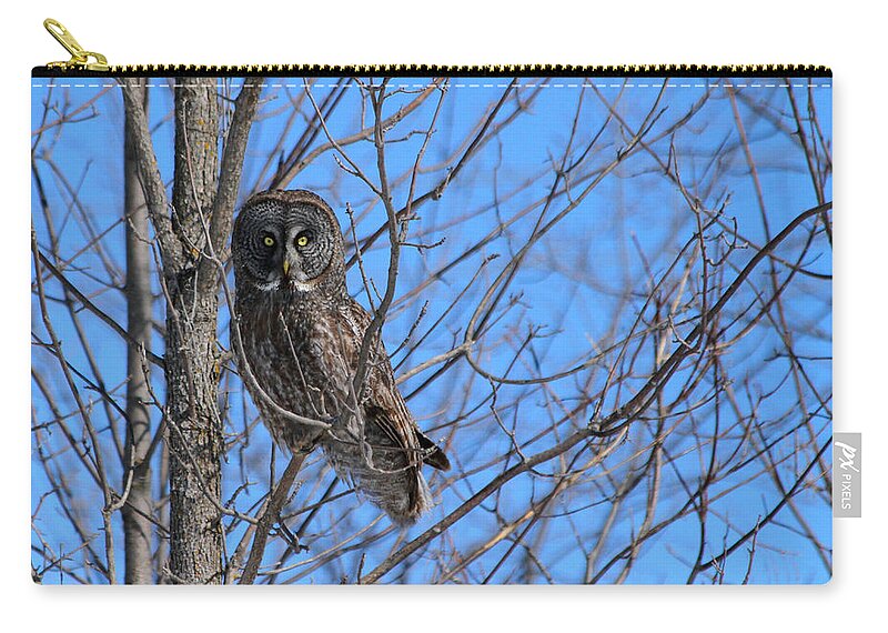 Owls Zip Pouch featuring the photograph Who goes there #2 by Heather King
