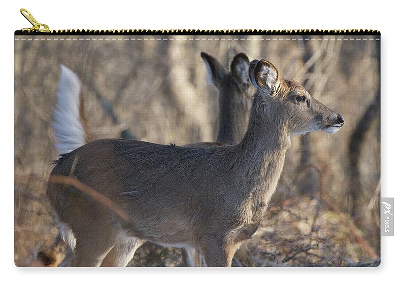 Animal Zip Pouch featuring the photograph Wild Deer #1 by Paul Ross