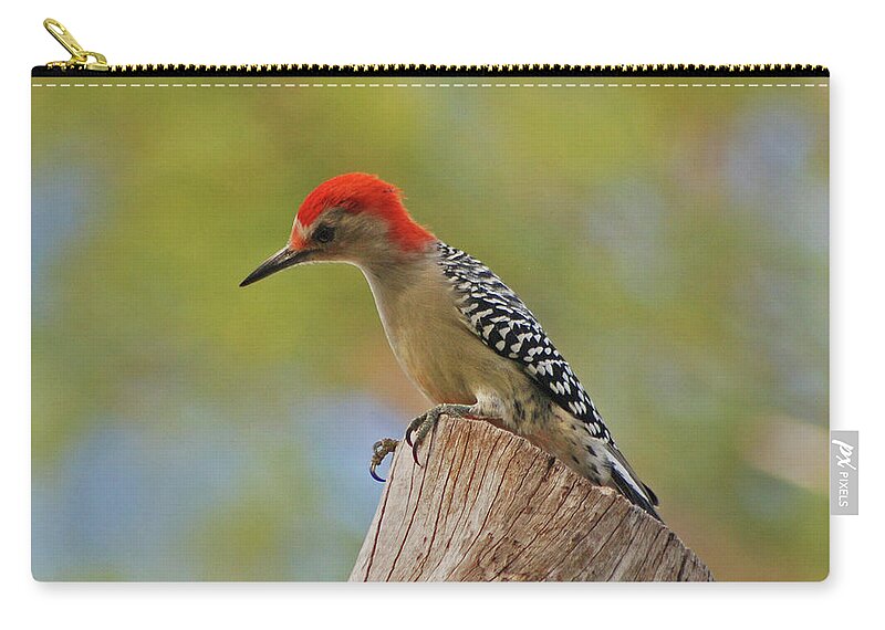 Woodpecker Zip Pouch featuring the digital art 1- Woodpecker by Joseph Keane