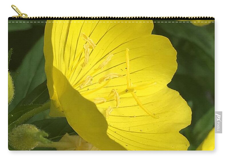 Yellow Evening Primrose Zip Pouch featuring the photograph Yellow Evening Primrose #1 by CAC Graphics
