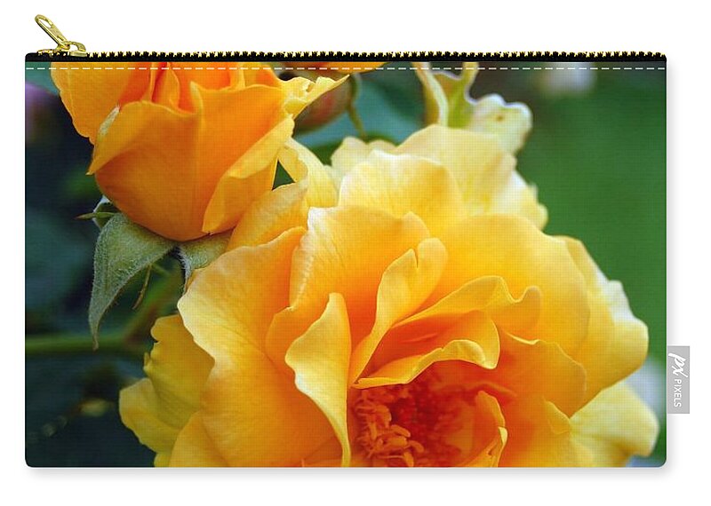 Flower Carry-all Pouch featuring the photograph Yellow Roses by Amy Fose