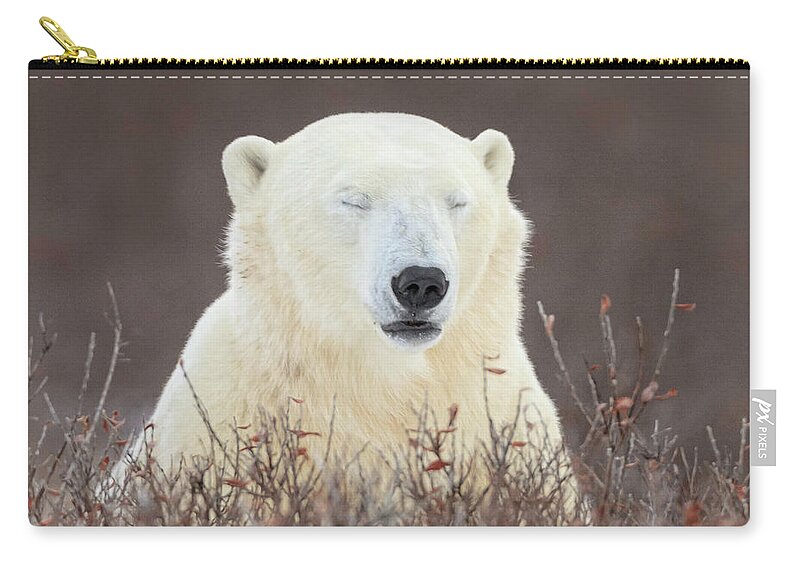 Polar Bear Zip Pouch featuring the photograph Zen Bear #1 by Jack Bell