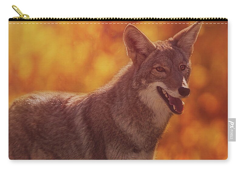 Animal Zip Pouch featuring the photograph Coyote #10 by Brian Cross