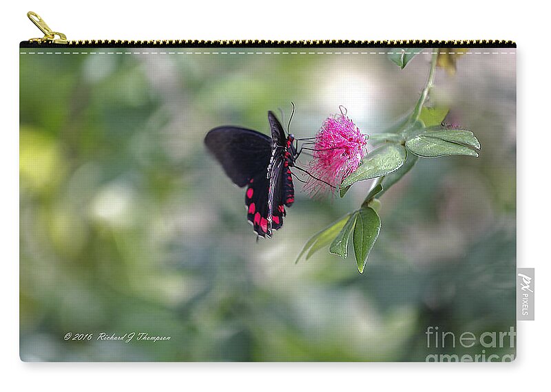 Butterfly Wonderland Zip Pouch featuring the photograph Butterfly #4 by Richard J Thompson