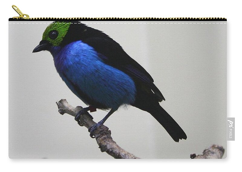 Bird Zip Pouch featuring the photograph Bird #14 by Jackie Russo