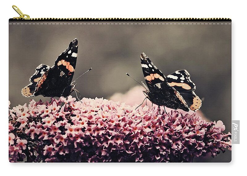 Butterfly Zip Pouch featuring the photograph Butterfly #14 by Jackie Russo