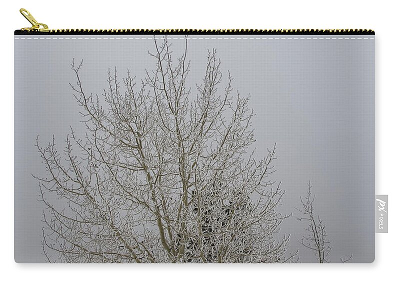 Winter Zip Pouch featuring the photograph 14 Degrees by Steven Parker