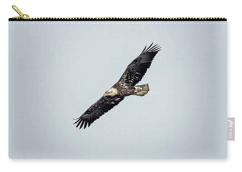 Illinois Zip Pouch featuring the photograph Bald Eagle #15 by Peter Lakomy
