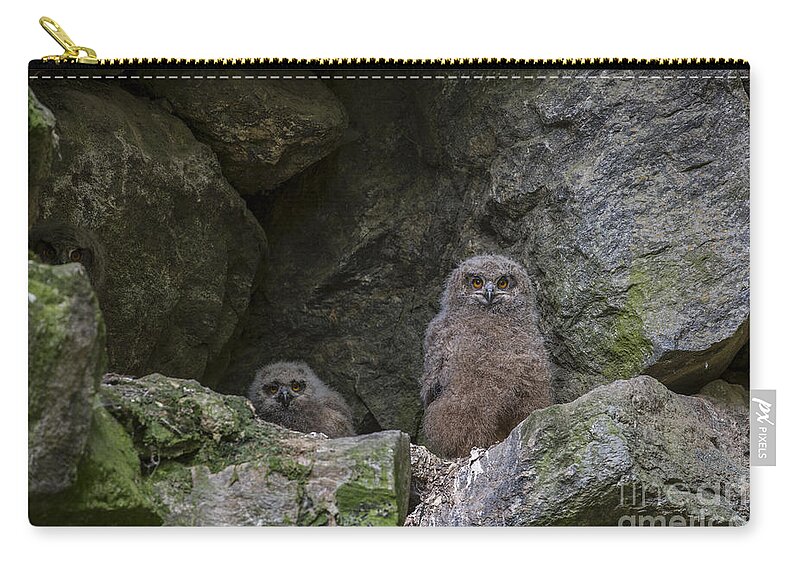 Young Zip Pouch featuring the photograph 150501p126 by Arterra Picture Library