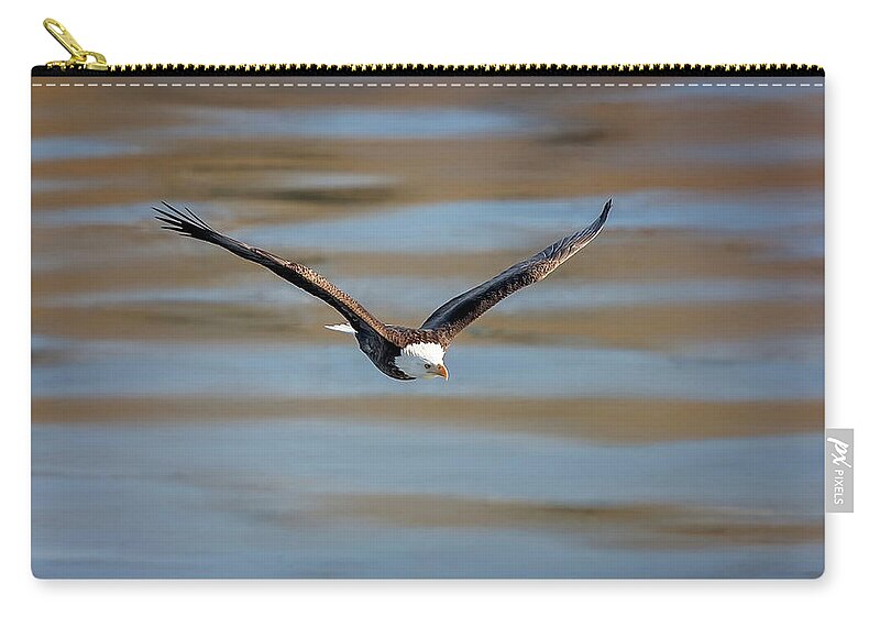 Illinois Carry-all Pouch featuring the photograph Bald Eagle by Peter Lakomy