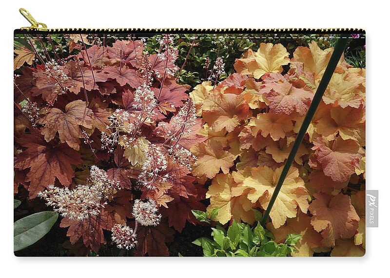Plant Zip Pouch featuring the photograph Plant #16 by Jackie Russo