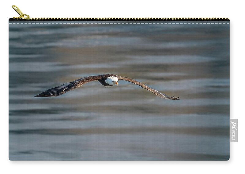 Illinois Carry-all Pouch featuring the photograph Bald Eagle by Peter Lakomy