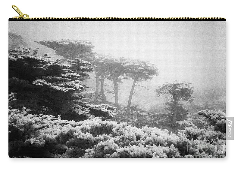 California Carry-all Pouch featuring the photograph 17 Mile Drive Cyprus Tress by Craig J Satterlee