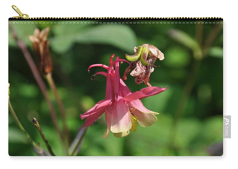 Flower Zip Pouch featuring the photograph Flower #174 by Mariel Mcmeeking