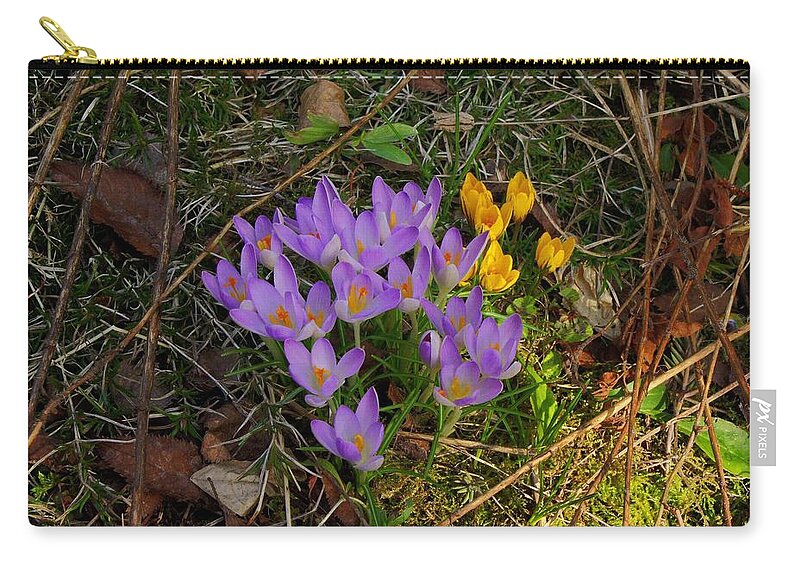 Flower Zip Pouch featuring the photograph Flower #176 by Mariel Mcmeeking