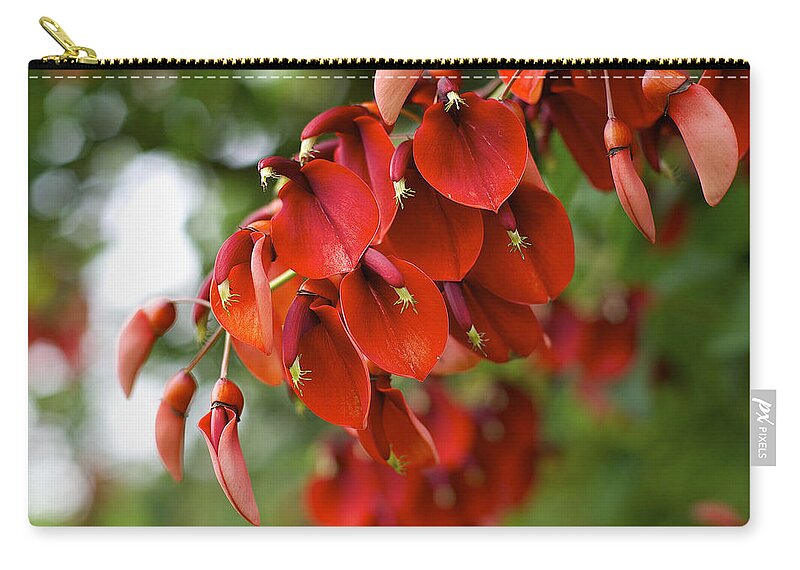 Blossom Zip Pouch featuring the photograph Blossom #18 by Mariel Mcmeeking