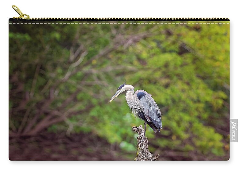 Animal Zip Pouch featuring the photograph Blue Heron #19 by Peter Lakomy
