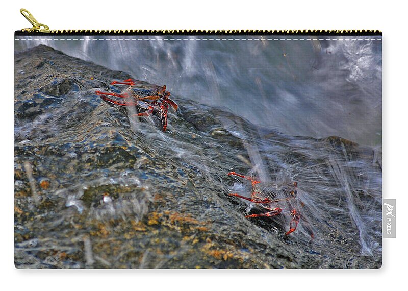 Rock Crabs Zip Pouch featuring the photograph 19- Follow Me by Joseph Keane