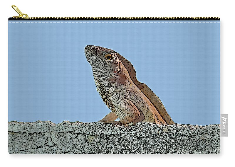Lizard Zip Pouch featuring the photograph 19- Lizard by Joseph Keane